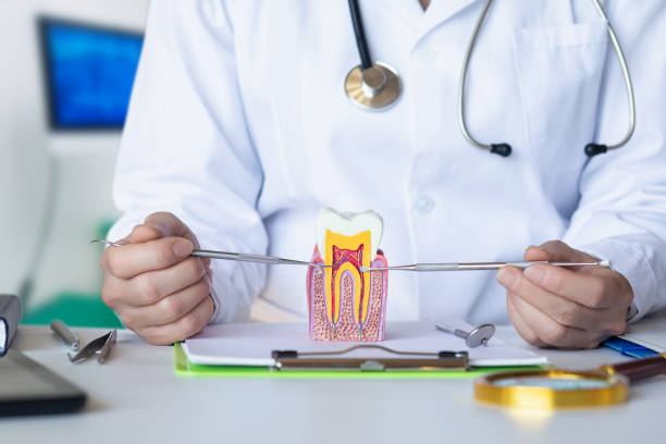 Best Emergency Treatment for Toothache in Piketon, OH